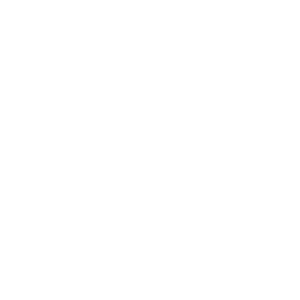 2011